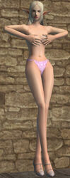 blonde_hair elf female lineage lineage_ii panties pointy_ears tagme