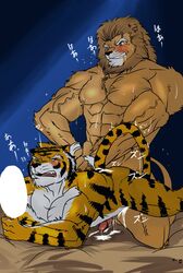 anal anal_sex blush feline furry gay hentist interspecies lion male muscles no_humans penetration sex tiger