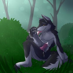 1boy anthro canine cum forest fur furry knot licking licking_cum male male_only paws penis solo syynx tongue tree