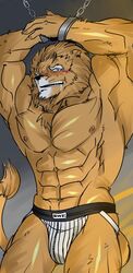 2013 abs anthro biceps feline fur hair hentist lion male male_only muscles pecs pose solo