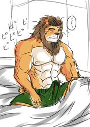 2013 abs anthro biceps erection feline fur furry gay hair hentist lion male muscles no_humans pecs penis shishimaru_genjurou_(character)