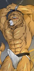 2013 abs anthro biceps erection feline fur furry hair hentist lion male male_only muscles no_humans pecs penis pose solo