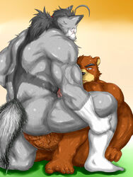 anal anthro ass balls bear canine fur furry furry_only gay juuichi male morenatsu no_humans penis ten_kodori wolf