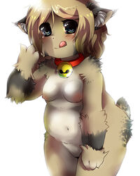 bell belly blush breasts brown_fur chubby collar female fluffy miri plain_background pussy spots tongue tongue_out white_background