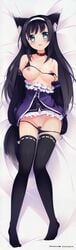 animal_ears bra breasts dakimakura highres kazakura lira nipples panty_pull pussy stylus tail thighhighs uncensored