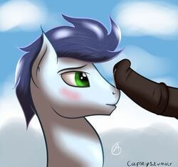 capseys friendship_is_magic furry furry_only gay male my_little_pony no_humans soarin_(mlp) wonderbolts_(mlp)