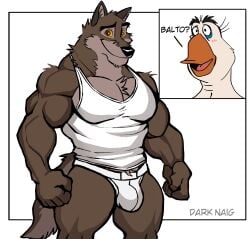 anthro balls balto balto_(film) bara barazoku bulge canine canine darknaigart domestic_dog flaccid furry male male_only muscles muscular pantsless penis solo solo_male underwear