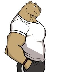 anthro balls bara barazoku bulge capybara clothing darknaigart flaccid fully_clothed furry male male_only muscles muscular penis solo solo_male