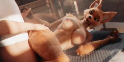 anthro anthro_penetrated areola ass bed bottomless bottomless_male bouncing_breasts breasts canid canine canis claws clitoral_hood clitoris clothed clothing duo erection female fox furromantic human mammal red_fox sound_warning tagme true_fox video