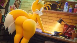 mobian (species) from sega by daws19