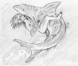 breasts claspers cum erection female female_on_feral feral fish hair human human_on_feral interspecies larger_male male marine missionary_position monochrome nude penis sea shark size_difference sketch smaller_male water zoophilia