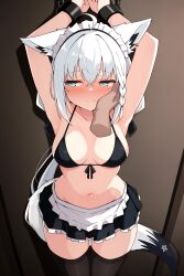 shirakami fubuki from hololive