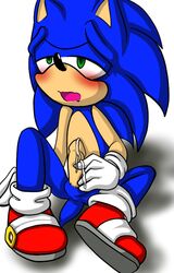 blue_hair blush cum green_eyes hair handjob hedgehog male_only nekoru penis sega sonic_(series) sonic_the_hedgehog