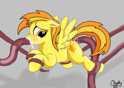 chuckybb cum equine female forced friendship_is_magic high_resolution horse my_little_pony pegasus rape solo spitfire_(mlp) stomach_bulge tentacle tentacle_rape wings wonderbolts_(mlp)