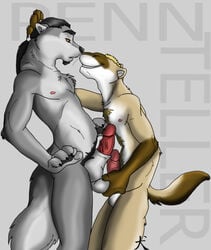 anthro ball_fondling canine chubby erection ferret frottage fur furry furry_only gay hair male mustelid nipples no_humans nuzzling penis straydog wolf