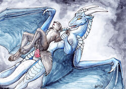 2013 alma_aurora anal anal_sex balls blue_scales canine cum cum_in_ass cum_inside dragon from_behind furry gay genital_slit grey_fur horn lying male no_humans nude on_back penetration penis sex wings