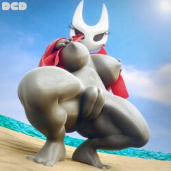 hornet (hollow knight) from hollow knight by dcd