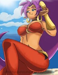 cute dark-skinned_female datwondoude long_hair pointy_ears purple_hair shantae shantae_(character) smug_grin