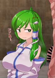 sanae kochiya from touhou by chasocha