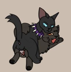 scourge (warriors) from warriors (book series)