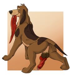 1boy 2013 anatomically_correct anus ass balls canine canine_penis cash_(fath) disney knot kryaterre male male_only penis showing solo testicles the_fox_and_the_hound