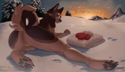 anthro anus ass balls brown_body canid canine digital_media_(artwork) fur genitals hi_res kazarart landscape looking_at_viewer male mammal mountain nature nude pawpads paws sky smile snow solo sunset tail winter