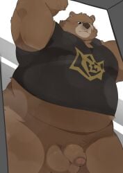 2025 anthro balls bear ben_bigger brown_body brown_fur clothing flaccid fur genitals haoming hi_res kemono male mammal mihoyo musk overweight overweight_male penis scar shirt solo topwear zenless_zone_zero