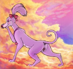 all_dogs_go_to_heaven anatomically_correct annabelle_(all_dogs_go_to_heaven) anus canine canine_pussy don_bluth female feral kryaterre purple_fur pussy raised_tail solo teats whippet