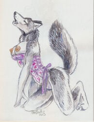 2013 anthro breasts canine corset female fur furry heather_bruton nipples solo wolf