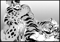2018 anal anal_sex anthro apin59 clouded_leopard collar collar_only duo felid genitals greyscale hi_res humanoid_genitalia humanoid_penis likulau lin_hu male mammal monochrome muscular muscular_anthro muscular_male muscular_thighs nekojishi nude pantherine penetration penis signature studio_klondike tiger