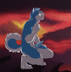 1boy anthro canine canine_penis erection fur furry husky jailbird knot male male_only nude outside penis solo