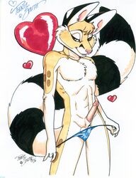 1boy 2006 anthro balls canine chester chester_ringtail_magreer fennec fox fur furry high_resolution male male_only penis ringtail solo terrie_smith undressing