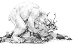 anal anthro antlers bear blotch cervine claws deer feral furry furry_only gay horn male penetration penis polar polar_bear reindeer sex teeth white_fur