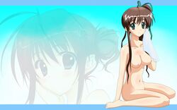 akane-iro_ni_somaru_saka breasts brown_hair highres large_breasts nagase_minato nipples nude ponytail ribbon side_ponytail tied_hair wallpaper