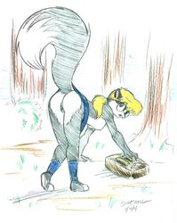 2001 Rule 34 Image