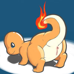 all_fours anus ass charmander female fire furry looking_back nintendo pokémon_(species) pokemon pussy raised_tail solo tail tail_fire video_games ziyen