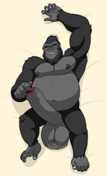 balls chubby drakedragon gorilla gorilla_grodd hyper hyper_penis looking_at_viewer male male_only no_humans penis solo