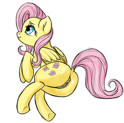 anus equine female fluttershy_(mlp) friendship_is_magic hair horse jjcomic my_little_pony pink_hair pony pussy straight_hair yellow_fur