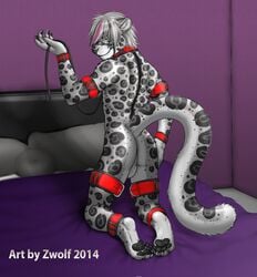 1boy 2014 anthro ass back balls bed claws collar feline izamal leopard looking_at_viewer male male_only mammal paws pose presenting solo spots zwolf