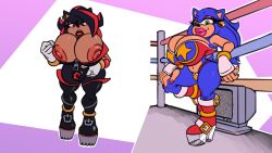 shadow the hedgehog from sega by kyrie eleison