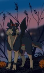 absurd_res animal_genitalia animal_penis black_body black_fur black_nose blep bracelet canid canine canine_genitalia canine_penis canis cheek_tuft clothing colored costume digital_drawing_(artwork) digital_media_(artwork) erection facial_tuft fake_horns fake_wings feral floppy_ears food fruit fur genitals grass green_eyes halloween halloween_costume hi_res holidays hybrid jewelry knot knotted_penis looking_at_viewer male male_only mammal markings midzushiro multicolored_body multicolored_fur night outside penis plant pumpkin red_markings shaded snout solo spiked_bracelet spikes standing tail tan_body tan_fur tongue tongue_out tree tuft wolfdog