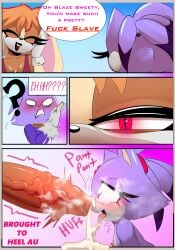 blaze the cat from sonic (series) by silencioarthub