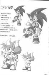 anal_beads bondage fur furry furry_tail gag hedgehog male male_only mammal multiple_males multiple_tails sonic_(series) sonic_the_hedgehog tail tails tojyo toys yaoi