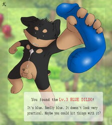 1boy anthro balls canine dildo fur furry male male_only nude penis_tip rottweiler sex_toy sheath solo straydog