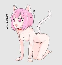 1girls breasts cat_ears cat_tail catgirl female naked nipples nude ootori_emu pink_eyes pink_hair project_sekai tail