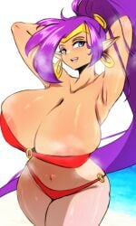 armpits arms_behind_head blush cleavage curvy gigantic_breasts hudie_jun hyper hyper_breasts open_mouth shantae shantae_(character) shiny_skin smile steam sweat sweaty thick_hips thick_thighs upper_teeth wide_hips