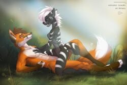 2d_animation abs akineza ambiguous_penetration anthro athletic black_body black_fur blue_eyes breasts canid canine clenched_teeth cowgirl_position digital_media_(artwork) duo eye_contact fangs felid female female_on_top female_penetrated fox from_front_position fur hand_on_chest interspecies liowako looking_at_another lying male male/female male_on_bottom male_penetrating male_penetrating_female mammal multicolored_body multicolored_fur mythology nature nipples nude on_back on_bottom on_top open_mouth orange_body orange_fur outside outside_sex pecs penetration prehistoric_species saber-toothed_tiger sabertooth_(anatomy) sex stripes teeth two_tone_body two_tone_fur werefox_(character) white_body white_fur white_stripes