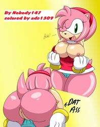 1girls 2013 adc1309 amy_rose ass big_breasts big_butt breasts clothing dat_ass dialog dress female flashing gloves hedgehog mooning nipples nobody147 panties pussy raised_tail sega sonic_(series) text thick_thighs underwear undressing wide_hips wink