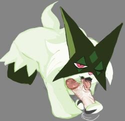 fellatio fellatio_from_feral feral lyrahorrorz meowscarada pokemon pokemon_(species) pokephilia