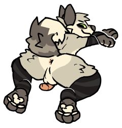 1boy alpha_channel anthro anus arm_warmers armwear backsack balls black_clothing butt canid canine clothing feet fox fur genitals green_eyes hi_res hindpaw humanoid_genitalia humanoid_penis legwear looking_back lying male male_only mammal markings max_(rookspirit) on_front pattern_arm_warmers pattern_armwear pattern_clothing pattern_legwear pattern_stockings pawpads paws penis perineum pink_anus pink_penis raised_tail rear_view rookspirit simple_background smile solo spread_butt spread_legs spreading stockings striped_arm_warmers striped_armwear striped_clothing striped_legwear striped_markings striped_stockings striped_tail stripes tail tail_markings tan_body tan_fur thigh_highs trans_(lore) trans_man_(lore) transparent_background
